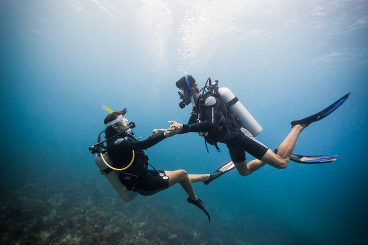 two people freediving