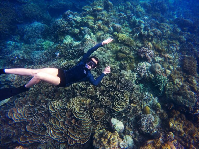 How to Choose the Best Diving Wetsuit Brands?