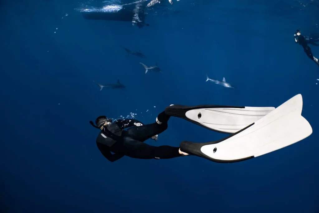 the importance of diving wetsuit
