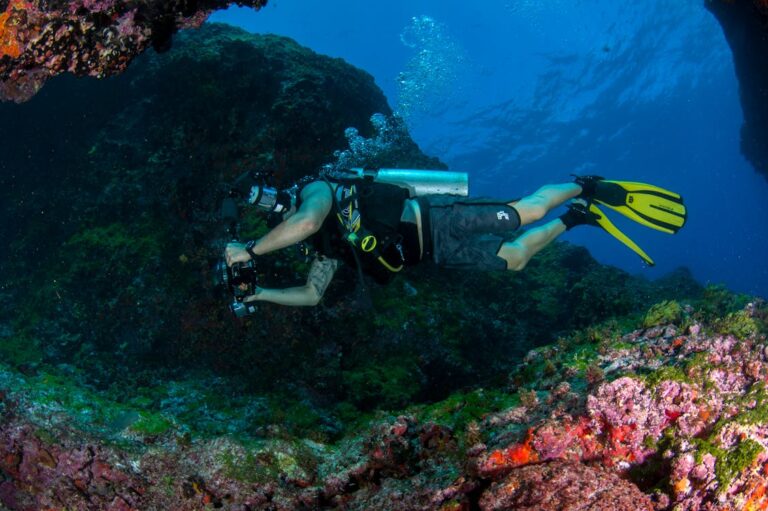 맨 위 10 Dive Destinations in the World