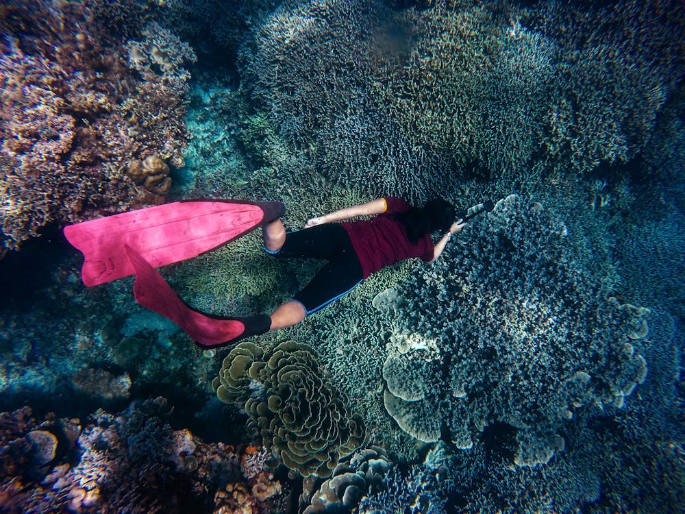 snorkeling gear and equipment