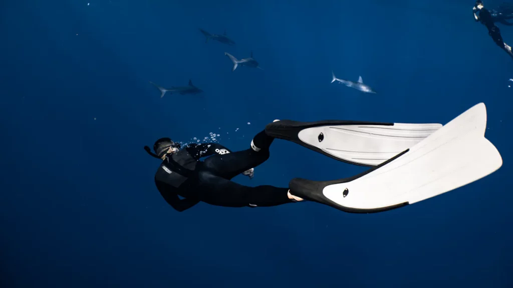 Types of Snorkeling Fins