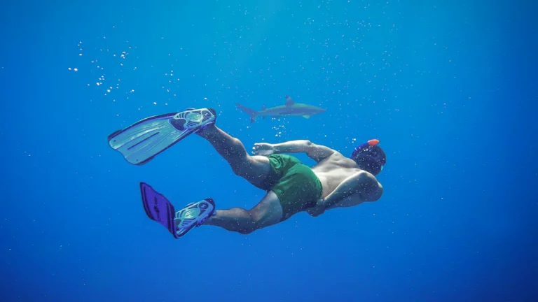 What Are the Best Fins for Snorkeling?