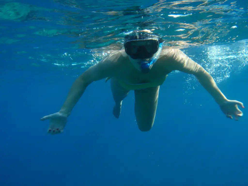 Clean Snorkel Gear 4