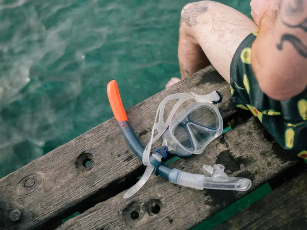 Clean Snorkel Gear cover