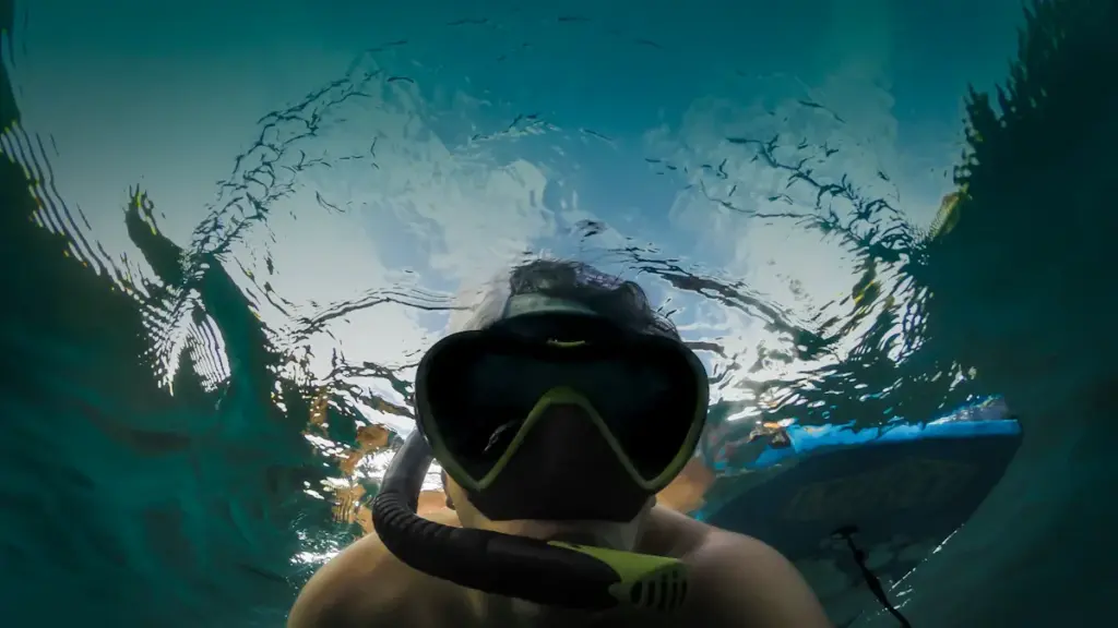types of diving masks