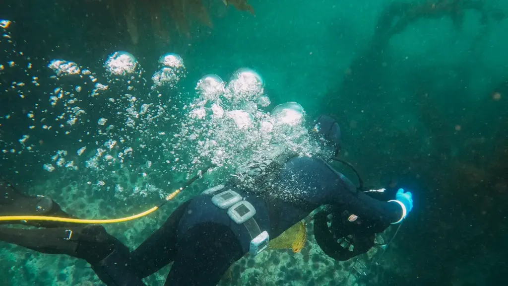 Why Full Face Snorkel Masks Are Considered Dangerous for Beginners