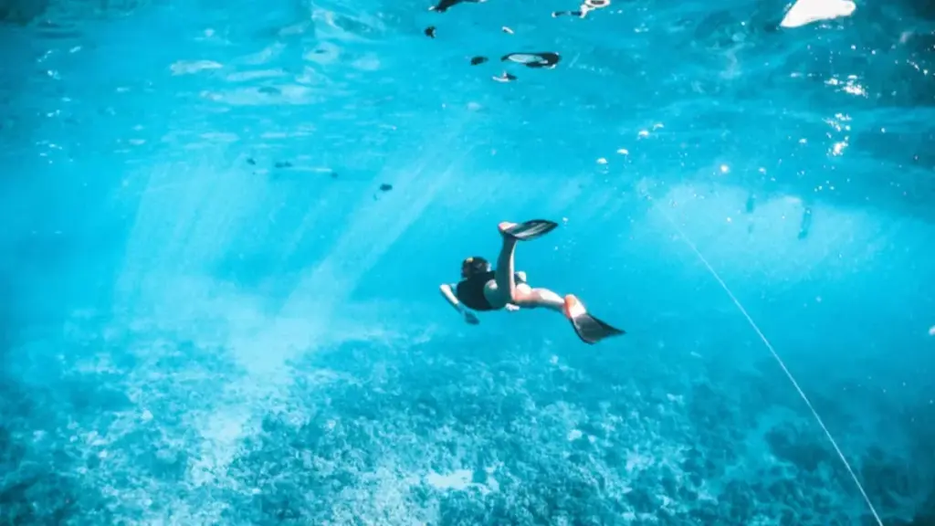 a person diving under the water