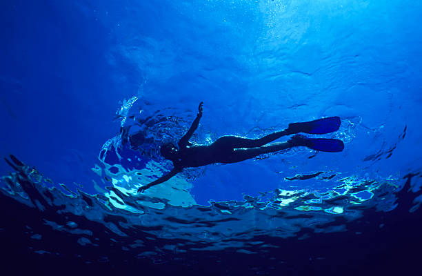difference between free diving and scuba diving