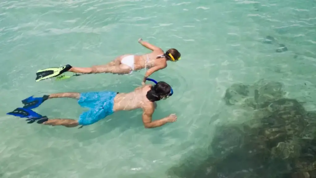 two people diving under the water