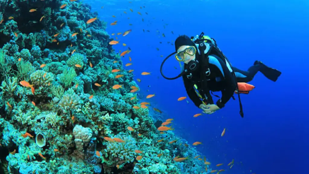 Young Woman Scuba Dives on a Coral Reef