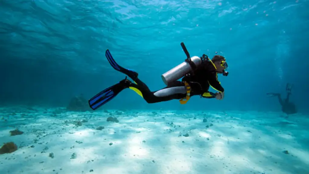 diver-in-shallow-water