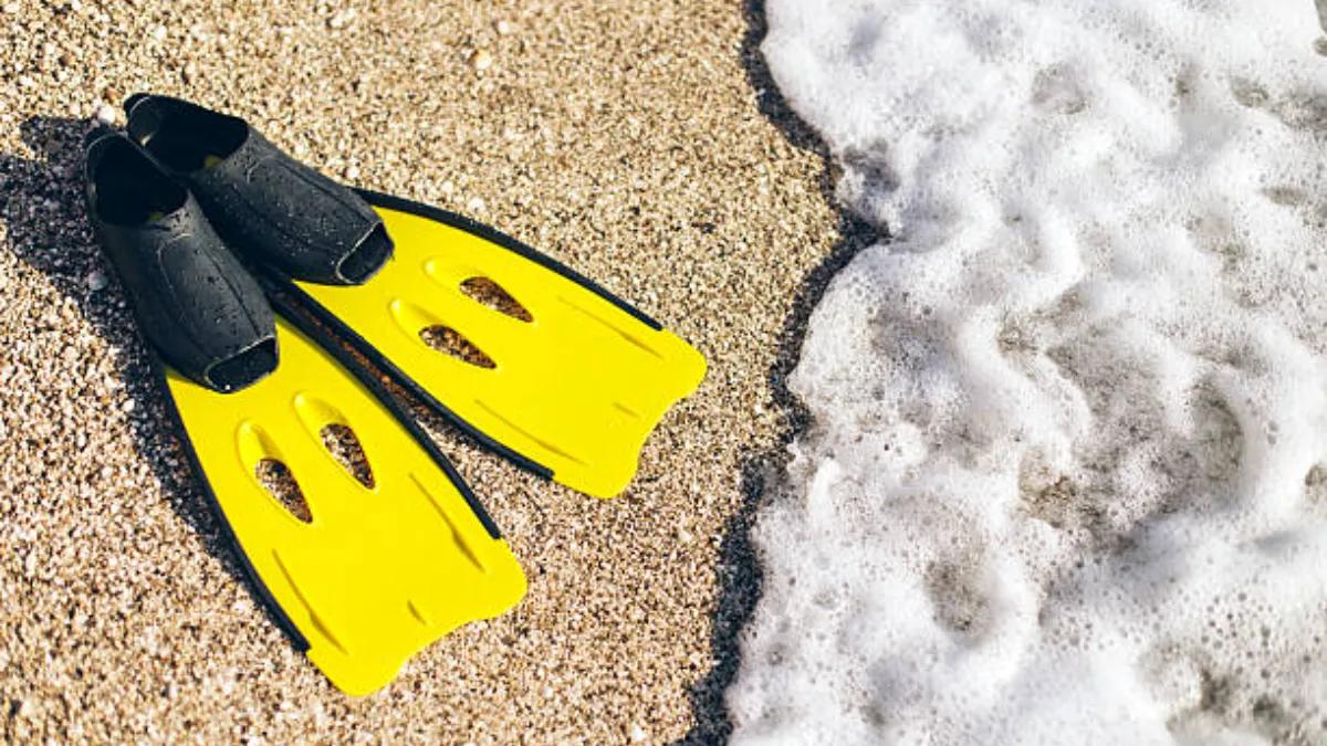 yellow-flipers-on-a-sand-beach