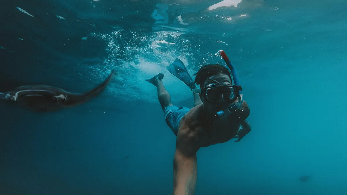 Freediver swimming underwater near a stingray in deep blue ocean