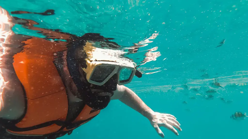 Dive Mask Export Compliance: م, ادارة الاغذية والعقاقير, and Market-Specific Certification Requirements
